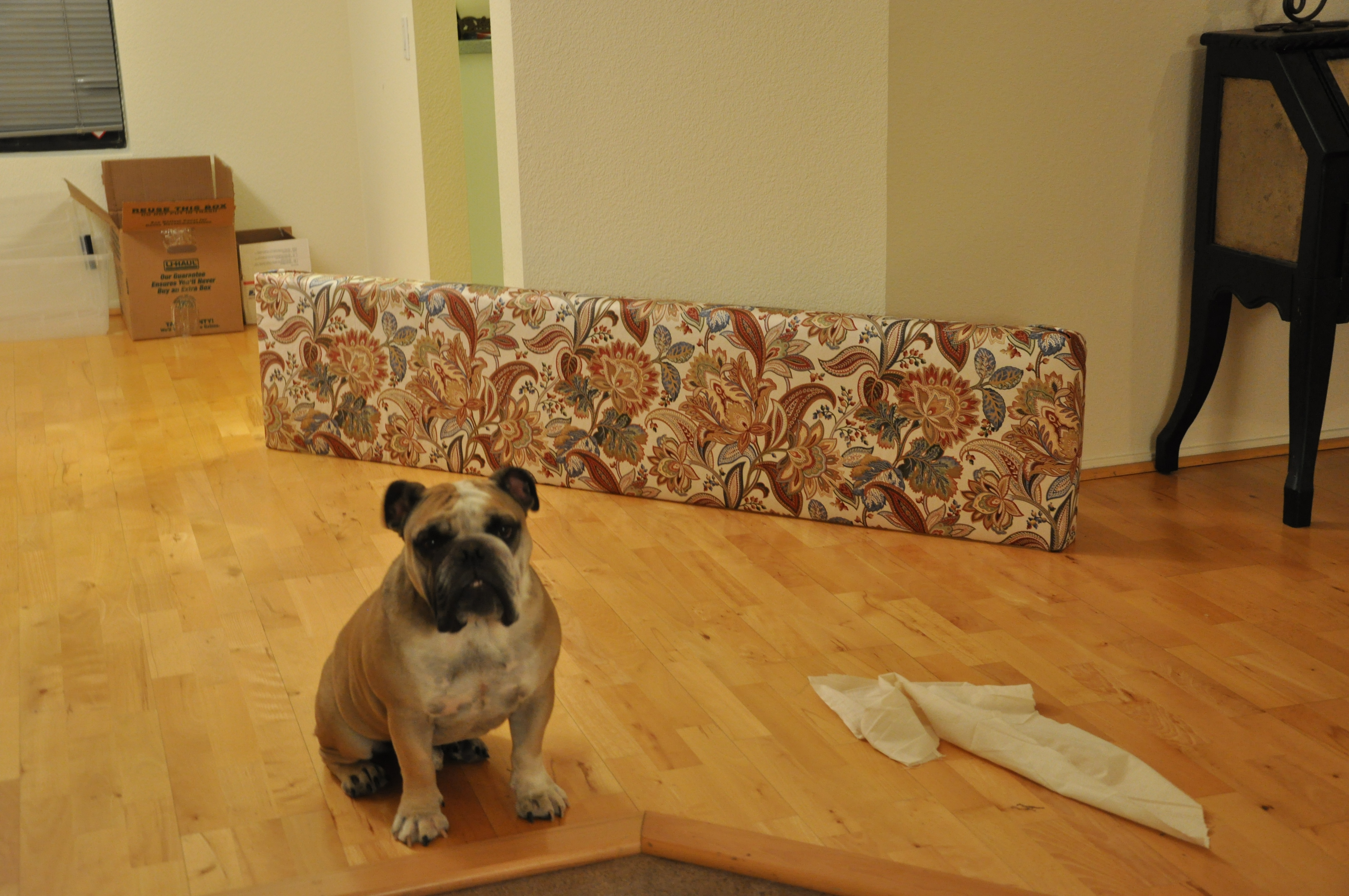 here's one finished, pre-placement, being closely guarded by a fiece watchdog